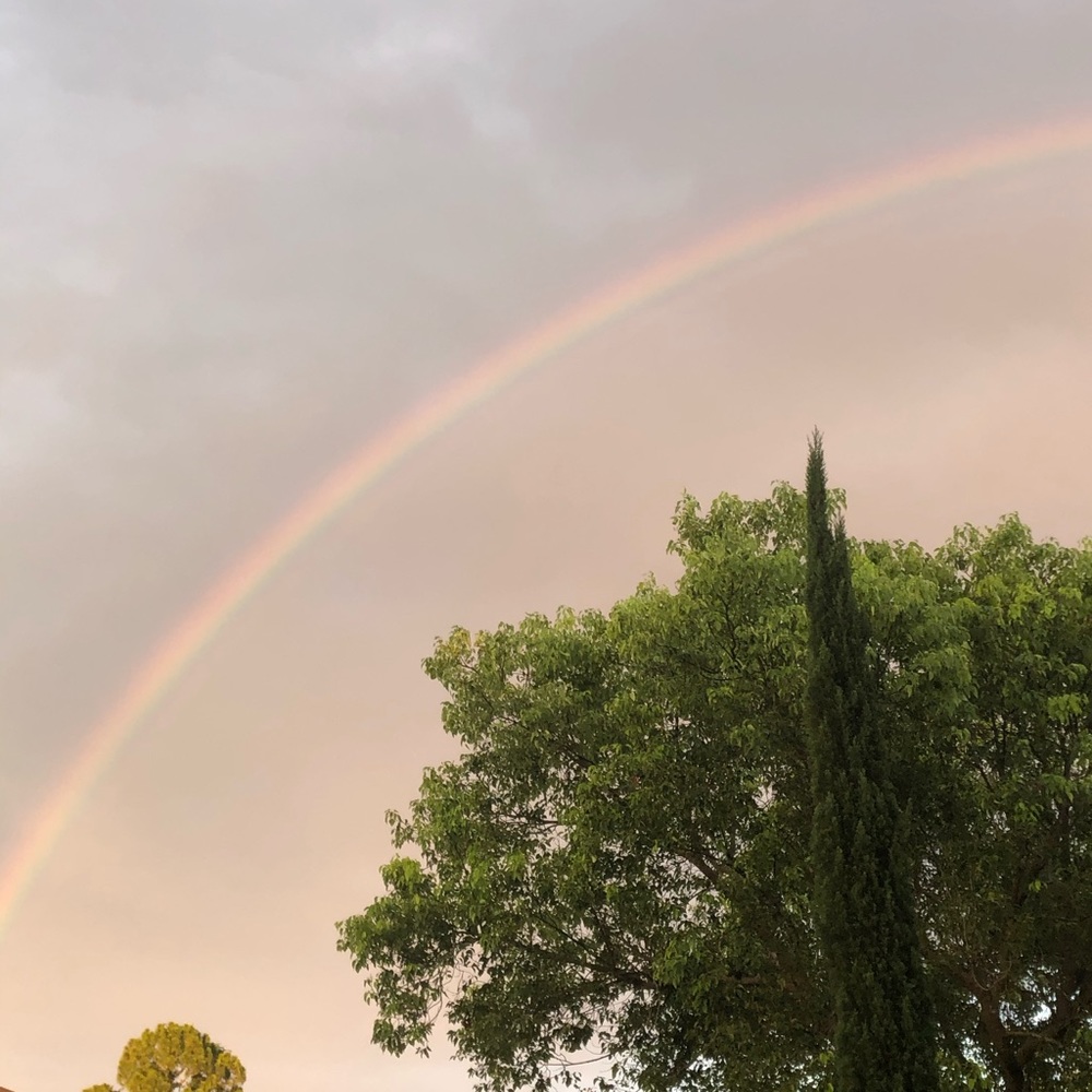 Meet your Posher, Holly